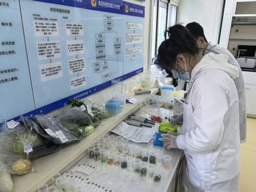 筑牢冬季旅游“舌尖防線” 哈爾濱啟動(dòng)食品安全快檢宣傳活動(dòng)